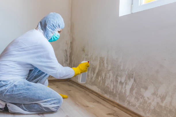 Crawl Space Mold Remediation treatment of floor joists in Lindenhurst